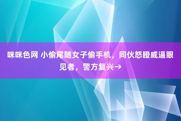 咪咪色网 小偷尾随女子偷手机，同伙怒瞪威逼眼见者，警方复兴→