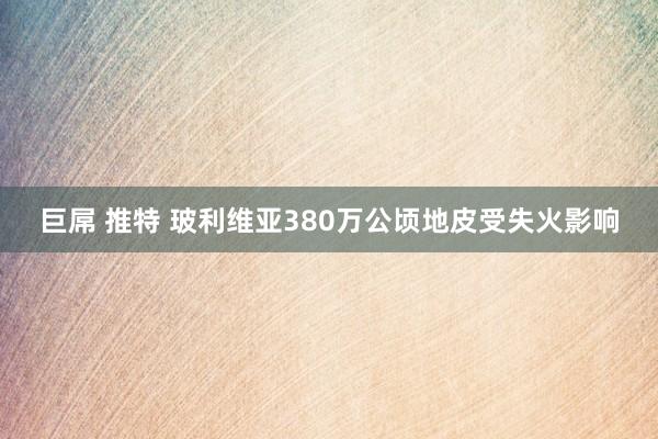 巨屌 推特 玻利维亚380万公顷地皮受失火影响