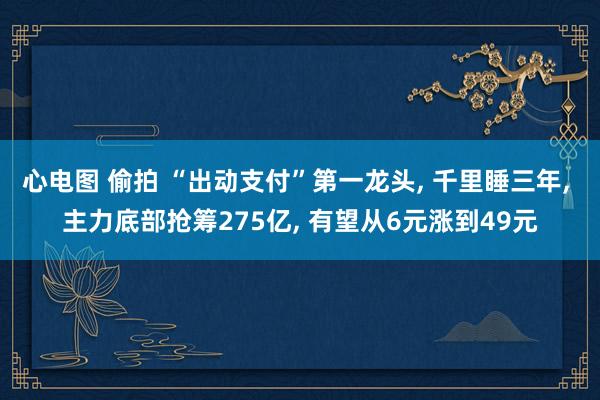 心电图 偷拍 “出动支付”第一龙头， 千里睡三年， 主力底部抢筹275亿， 有望从6元涨到49元