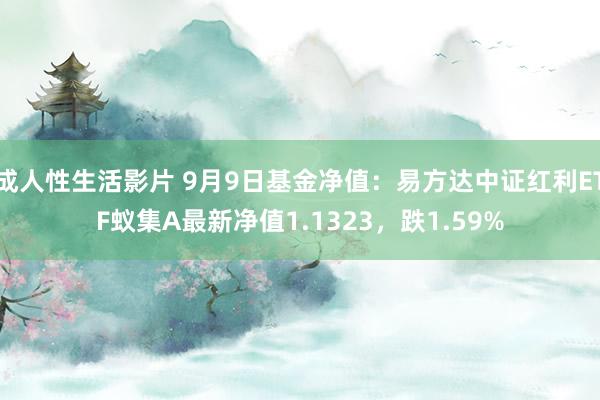 成人性生活影片 9月9日基金净值：易方达中证红利ETF蚁集A最新净值1.1323，跌1.59%