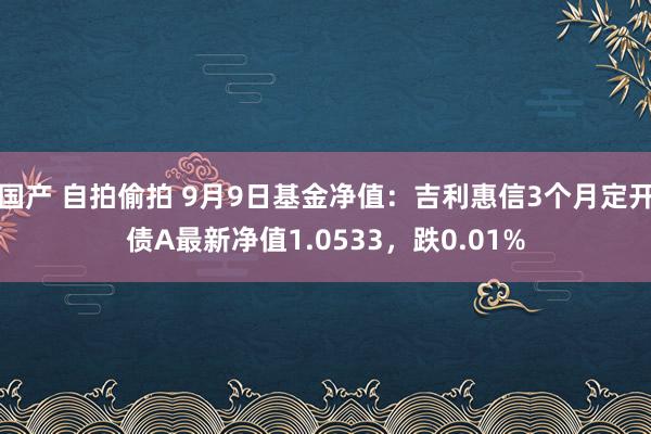 国产 自拍偷拍 9月9日基金净值：吉利惠信3个月定开债A最新净值1.0533，跌0.01%