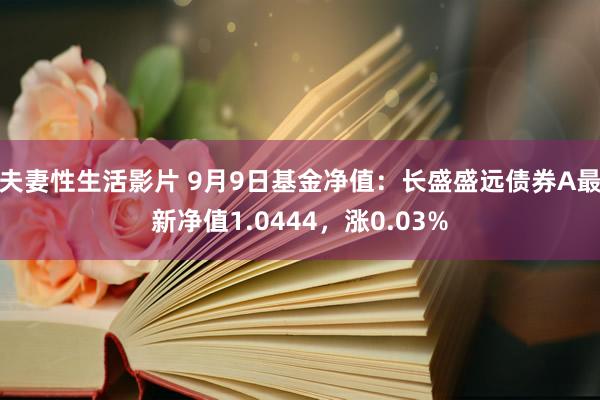 夫妻性生活影片 9月9日基金净值：长盛盛远债券A最新净值1.0444，涨0.03%