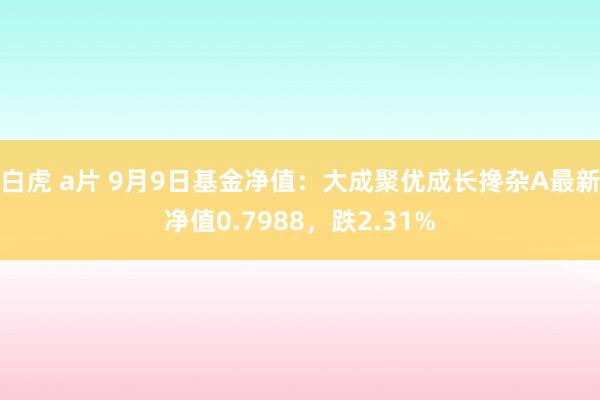 白虎 a片 9月9日基金净值：大成聚优成长搀杂A最新净值0.7988，跌2.31%