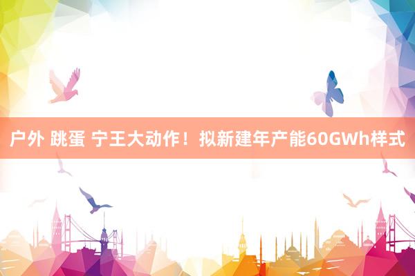 户外 跳蛋 宁王大动作！拟新建年产能60GWh样式