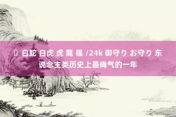 ✨白蛇 白虎 虎 龍 福 /24k 御守り お守り 东说念主类历史上最晦气的一年