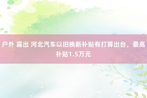 户外 露出 河北汽车以旧换新补贴有打算出台，最高补贴1.5万元