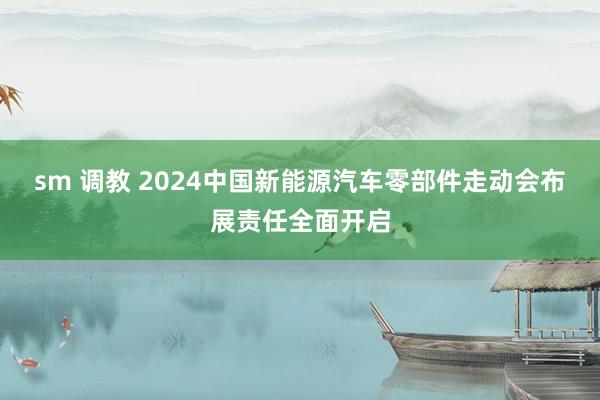 sm 调教 2024中国新能源汽车零部件走动会布展责任全面开启