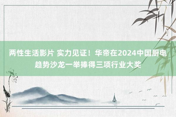 两性生活影片 实力见证！华帝在2024中国厨电趋势沙龙一举捧得三项行业大奖