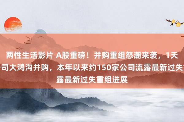 两性生活影片 A股重磅！并购重组怒潮来袭，1天内两家公司大鸿沟并购，本年以来约150家公司流露最新过失重组进展