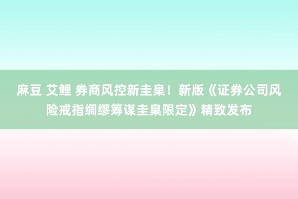 麻豆 艾鲤 券商风控新圭臬！新版《证券公司风险戒指绸缪筹谋圭臬限定》精致发布