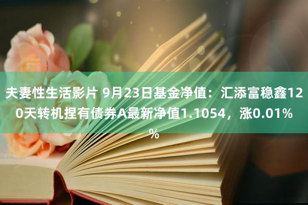 夫妻性生活影片 9月23日基金净值：汇添富稳鑫120天转机捏有债券A最新净值1.1054，涨0.01%