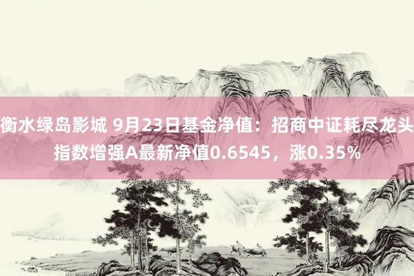 衡水绿岛影城 9月23日基金净值：招商中证耗尽龙头指数增强A最新净值0.6545，涨0.35%