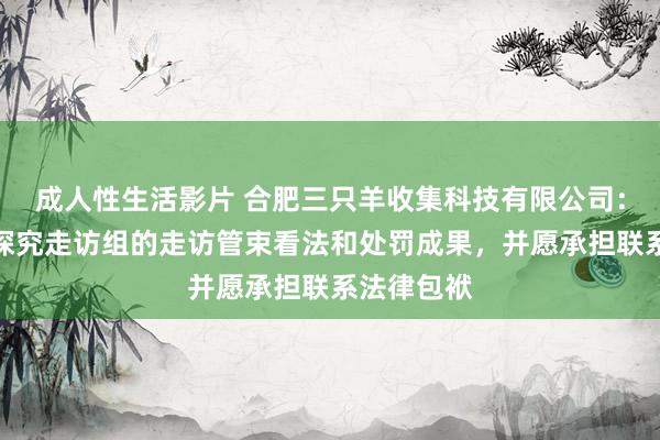 成人性生活影片 合肥三只羊收集科技有限公司：全面接管探究走访组的走访管束看法和处罚成果，并愿承担联系法律包袱