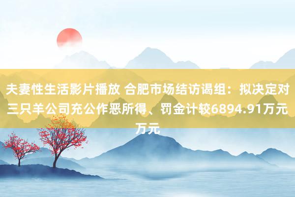 夫妻性生活影片播放 合肥市场结访谒组：拟决定对三只羊公司充公作恶所得、罚金计较6894.91万元