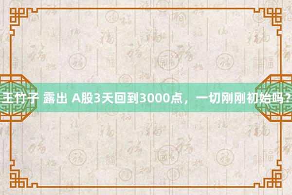 王竹子 露出 A股3天回到3000点，一切刚刚初始吗？