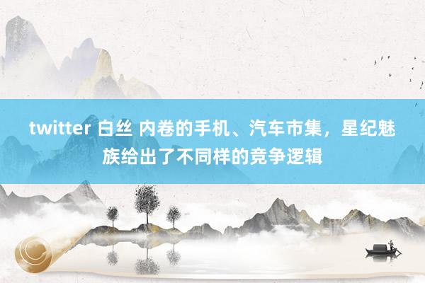 twitter 白丝 内卷的手机、汽车市集，星纪魅族给出了不同样的竞争逻辑