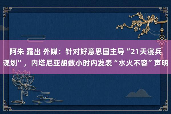 阿朱 露出 外媒：针对好意思国主导“21天寝兵谋划”，内塔尼亚胡数小时内发表“水火不容”声明