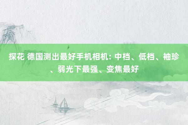 探花 德国测出最好手机相机: 中档、低档、袖珍、弱光下最强、变焦最好