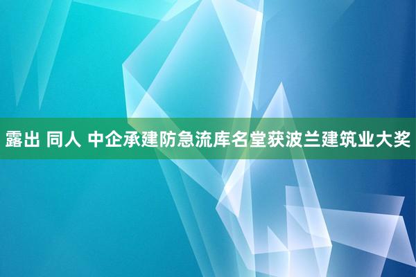 露出 同人 中企承建防急流库名堂获波兰建筑业大奖