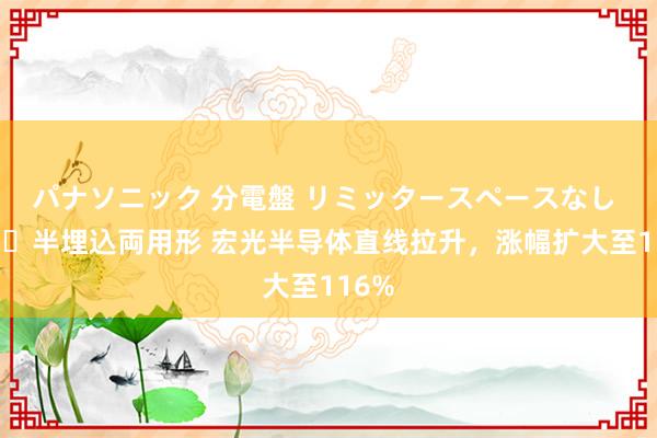 パナソニック 分電盤 リミッタースペースなし 露出・半埋込両用形 宏光半导体直线拉升，涨幅扩大至116%