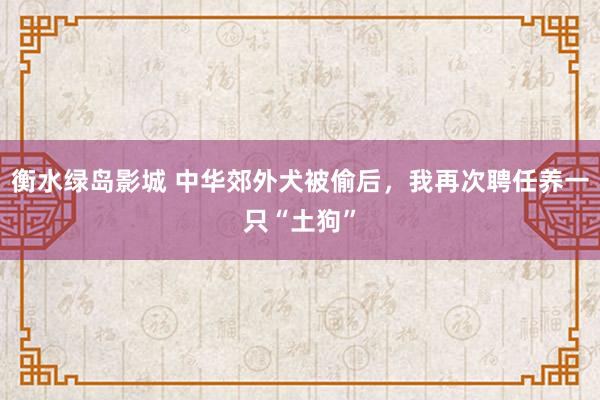 衡水绿岛影城 中华郊外犬被偷后，我再次聘任养一只“土狗”