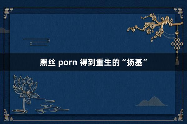 黑丝 porn 得到重生的“扬基”