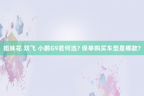 姐妹花 双飞 小鹏G9若何选? 保举购买车型是哪款?