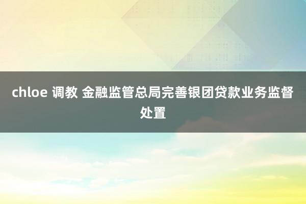 chloe 调教 金融监管总局完善银团贷款业务监督处置