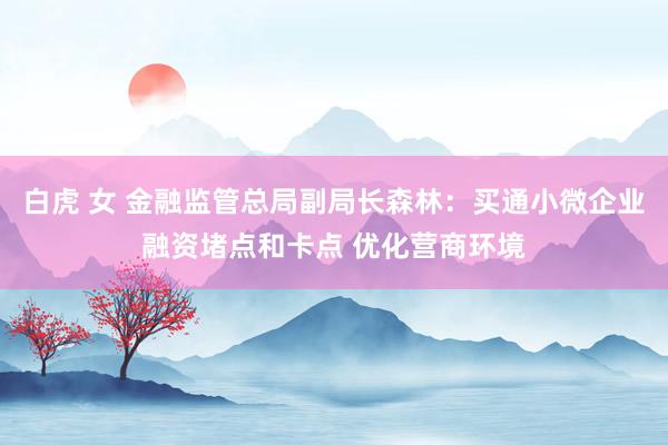 白虎 女 金融监管总局副局长森林：买通小微企业融资堵点和卡点 优化营商环境