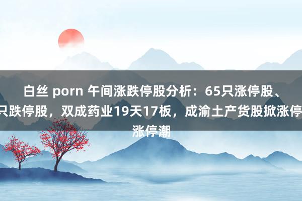 白丝 porn 午间涨跌停股分析：65只涨停股、1只跌停股，双成药业19天17板，成渝土产货股掀涨停潮