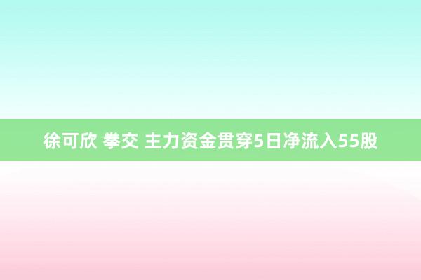 徐可欣 拳交 主力资金贯穿5日净流入55股