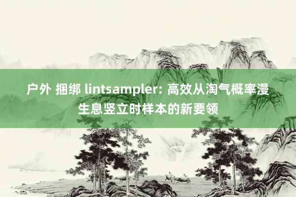 户外 捆绑 lintsampler: 高效从淘气概率漫生息竖立时样本的新要领