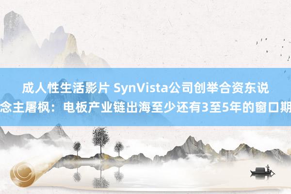 成人性生活影片 SynVista公司创举合资东说念主屠枫：电板产业链出海至少还有3至5年的窗口期