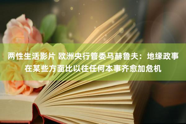 两性生活影片 欧洲央行管委马赫鲁夫：地缘政事在某些方面比以往任何本事齐愈加危机