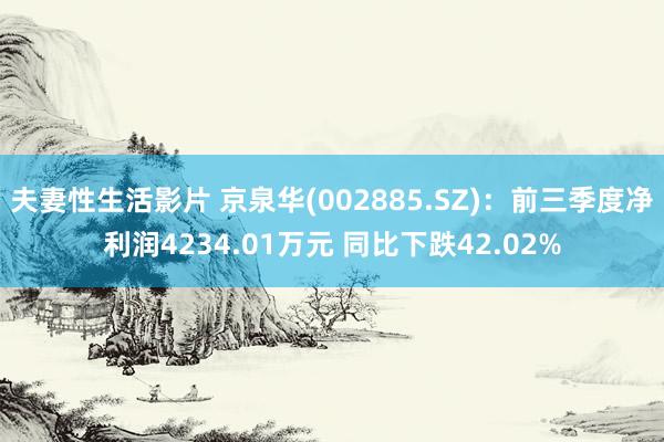 夫妻性生活影片 京泉华(002885.SZ)：前三季度净利润4234.01万元 同比下跌42.02%