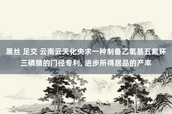 黑丝 足交 云南云天化央求一种制备乙氧基五氟环三磷腈的门径专利， 进步所得居品的产率