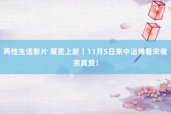 两性生活影片 展览上新｜11月5日来中运博看宋徽宗真货！