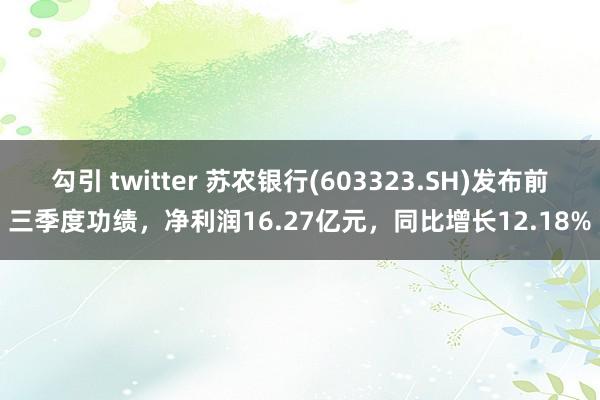 勾引 twitter 苏农银行(603323.SH)发布前三季度功绩，净利润16.27亿元，同比增长12.18%