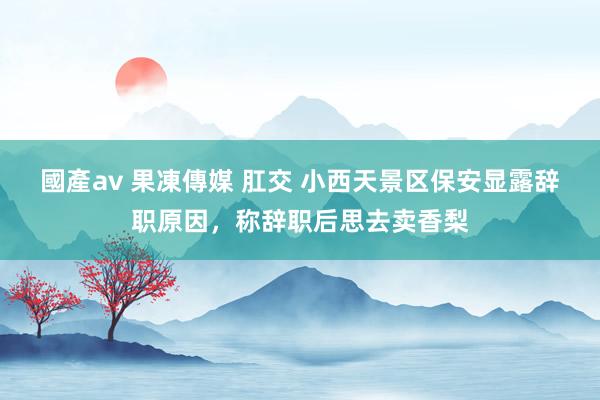 國產av 果凍傳媒 肛交 小西天景区保安显露辞职原因，称辞职后思去卖香梨