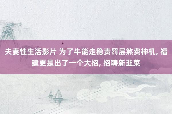 夫妻性生活影片 为了牛能走稳责罚层煞费神机， 福建更是出了一个大招， 招聘新韭菜