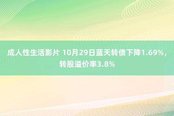 成人性生活影片 10月29日蓝天转债下降1.69%，转股溢价率3.8%