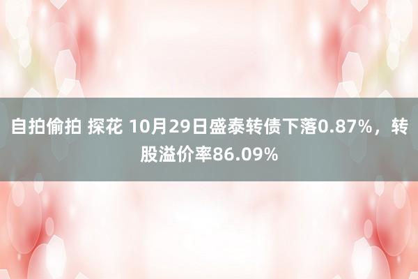 自拍偷拍 探花 10月29日盛泰转债下落0.87%，转股溢价率86.09%