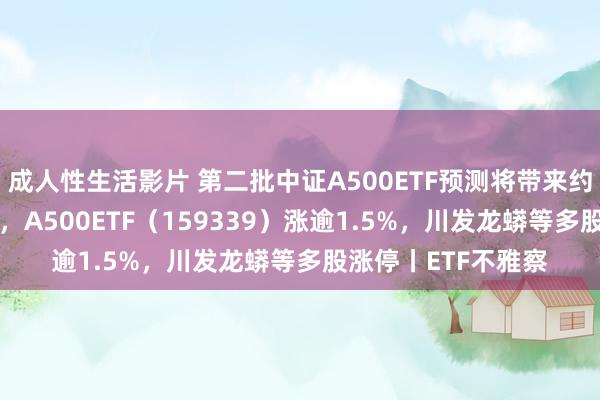 成人性生活影片 第二批中证A500ETF预测将带来约240亿元增量资金，A500ETF（159339）涨逾1.5%，川发龙蟒等多股涨停丨ETF不雅察