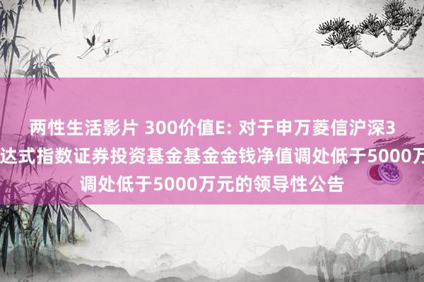 两性生活影片 300价值E: 对于申万菱信沪深300价值来去型通达式指数证券投资基金基金金钱净值调处低于5000万元的领导性公告