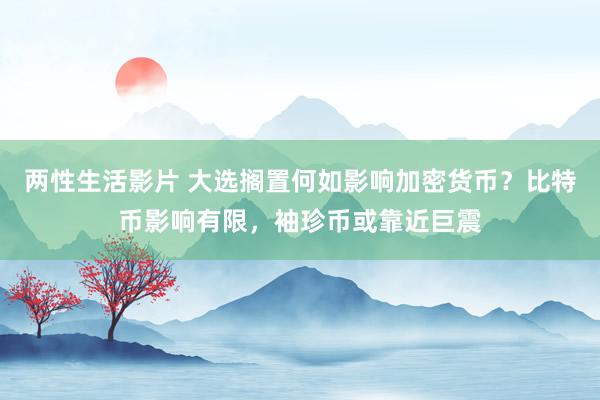 两性生活影片 大选搁置何如影响加密货币？比特币影响有限，袖珍币或靠近巨震