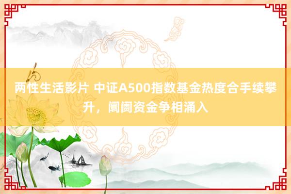 两性生活影片 中证A500指数基金热度合手续攀升，阛阓资金争相涌入