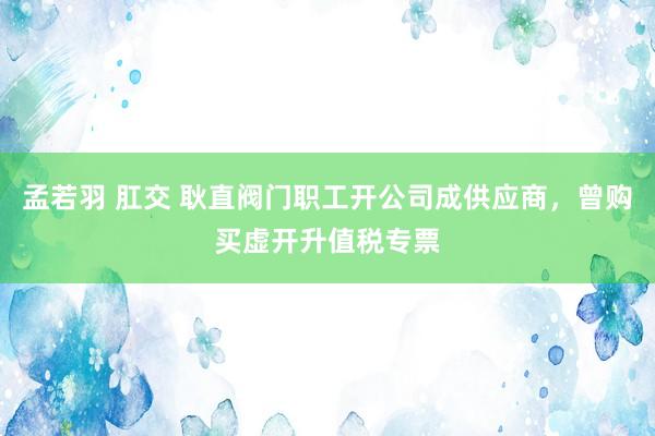 孟若羽 肛交 耿直阀门职工开公司成供应商，曾购买虚开升值税专票