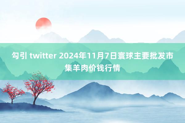 勾引 twitter 2024年11月7日寰球主要批发市集羊肉价钱行情