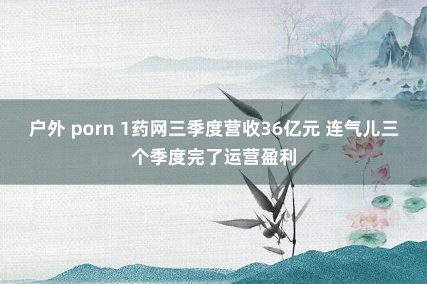 户外 porn 1药网三季度营收36亿元 连气儿三个季度完了运营盈利