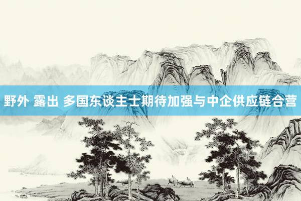 野外 露出 多国东谈主士期待加强与中企供应链合营